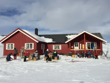 Ål