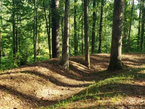 New Bern Civil War Battlefield Park