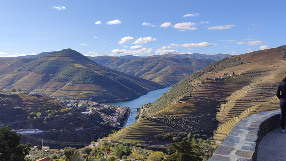 Magnifico Douro Events Ltd