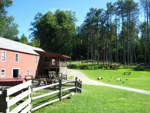 The Friendly Farm