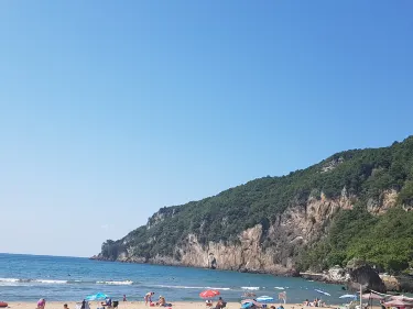 Bartin Merkez