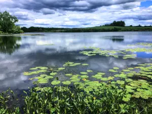 Ooms Conservation Area