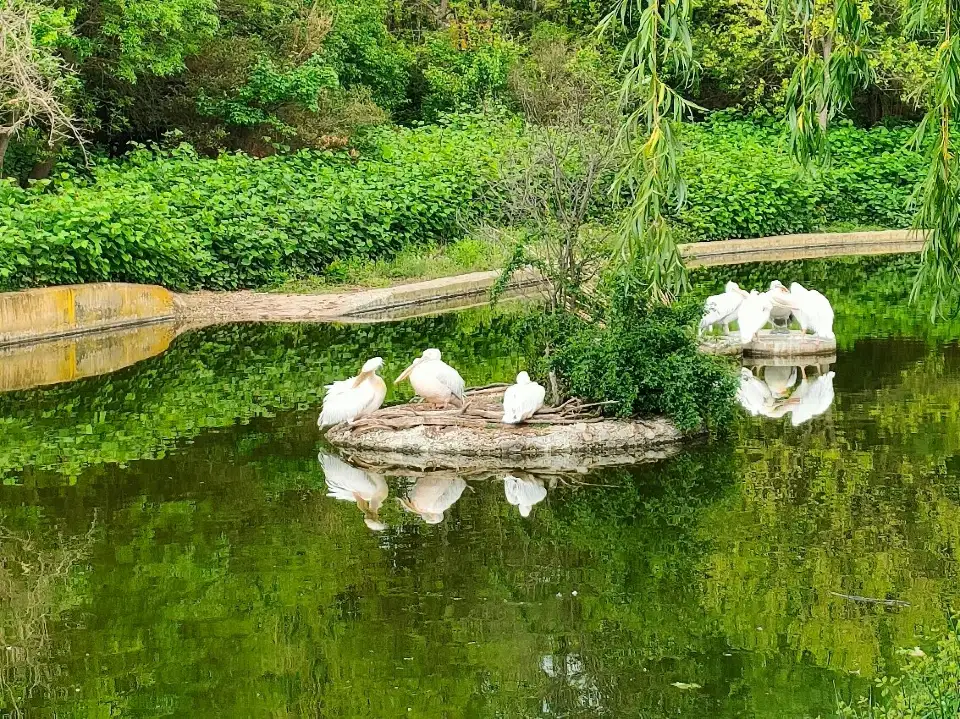 2_The Sofia Zoo