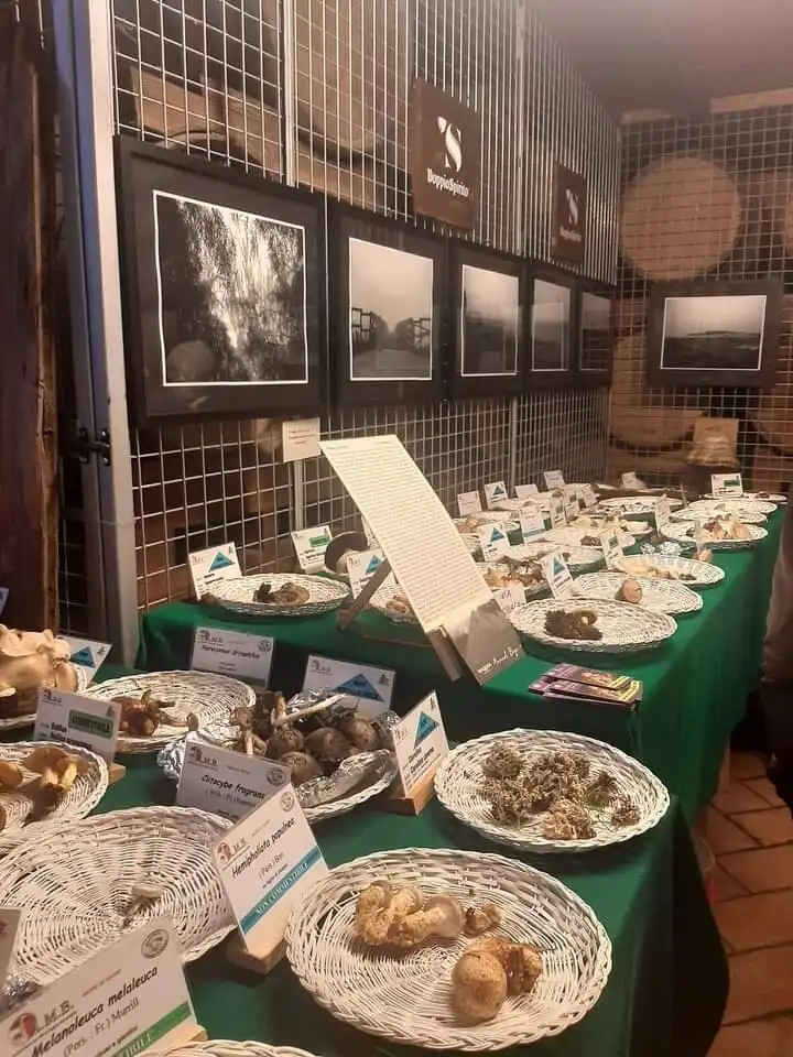 Hotel a Pincara