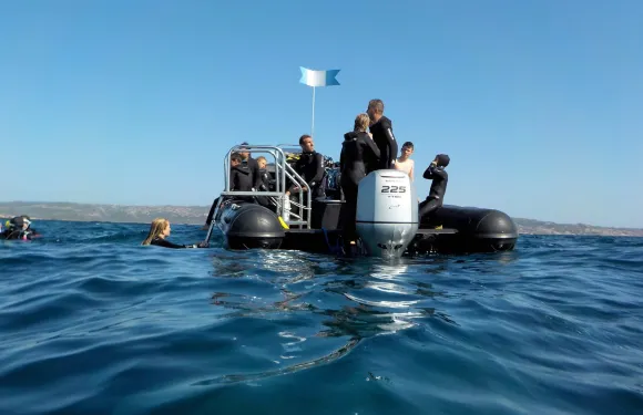 皮諾托里卡爾達雷洛