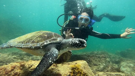 Master Dive Escola de Mergulho