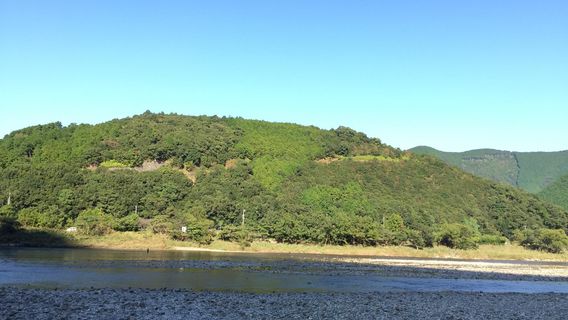 Shirahama