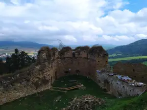 Zborov Castle