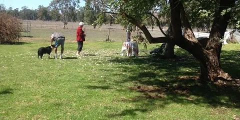 El Dorado Farm Visits