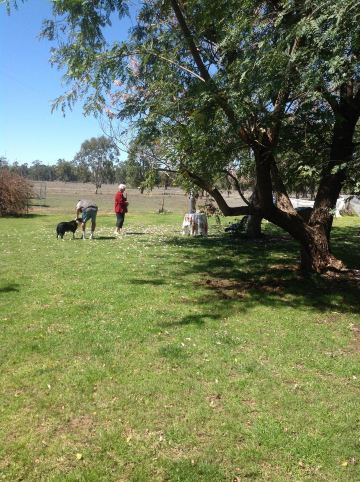 El Dorado Farm Visits