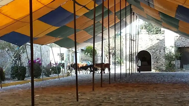 Hotels in Puebla de los Angeles