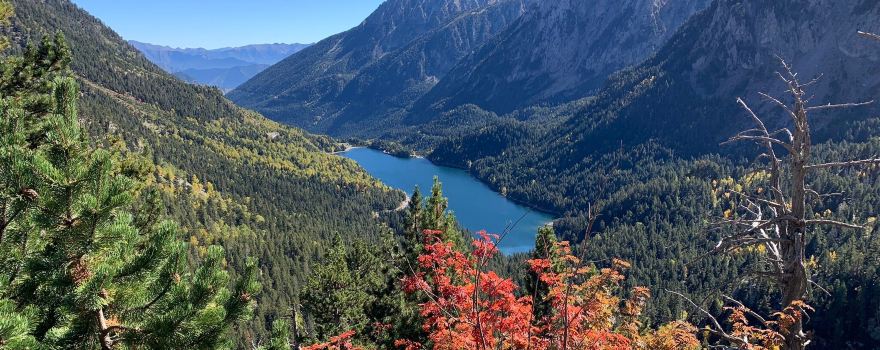 Parc Natural de l'Alt Pirineu
