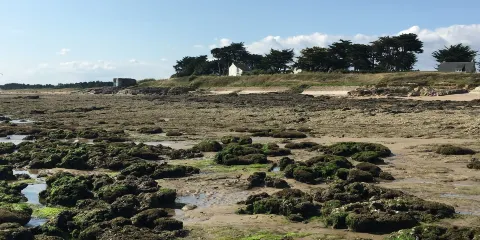 Petite Plage de Kervoyal