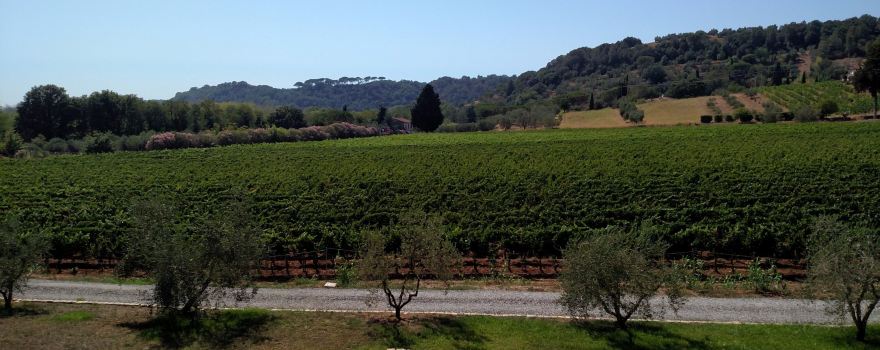 Podere La Regola
