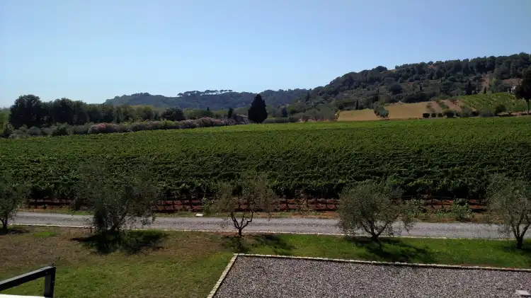 Riparbella