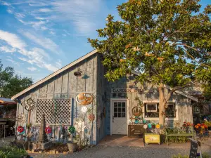 Cambria Nursery and Florist