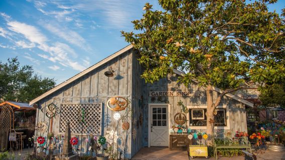 Cambria Nursery