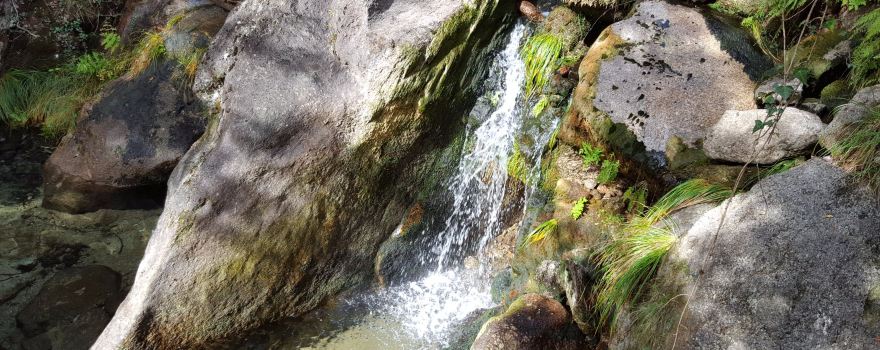 Pincaes Cascate
