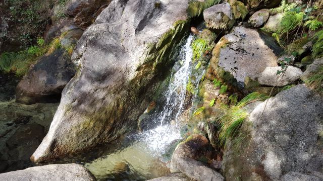 Pincaes Cascate