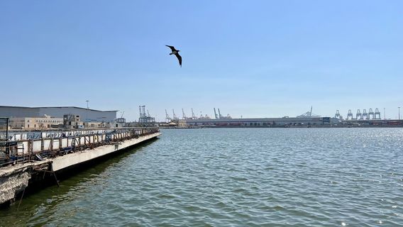 Central Fish Market