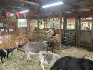 Dinky Doo Petting Zoo