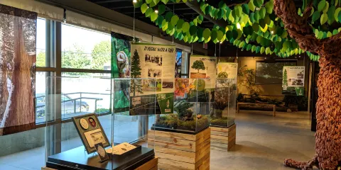 PoCo Heritage Museum and Archives