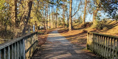 Gator Alley Boardwalk