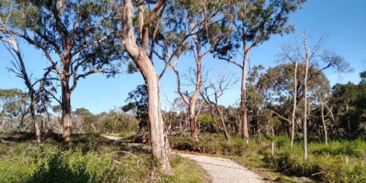 F Oswin Robert Koala Reserve