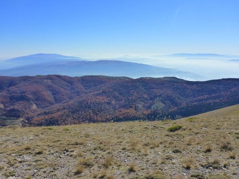 Mount Ossa