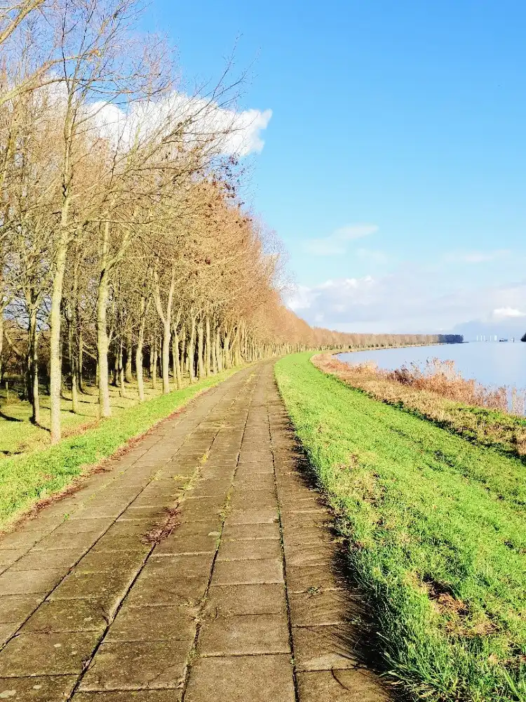 Hotels in Sint Philipsland
