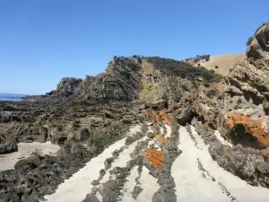 Western River Cove