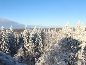 Delinkalns watchtower