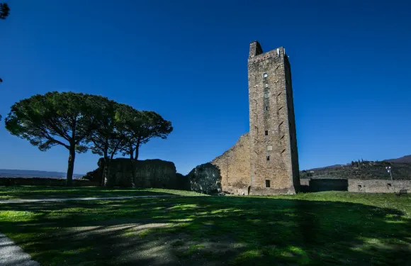 卡斯蒂里昂·菲奧倫蒂