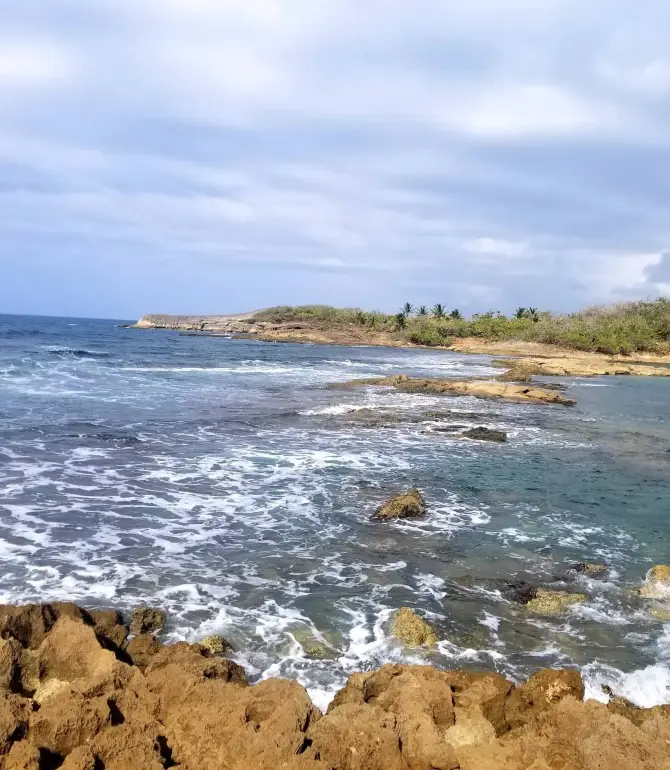 Dorado