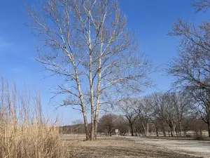 Wolf Creek Campground
