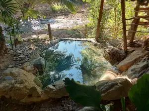 Chiang Dao Hot Springs