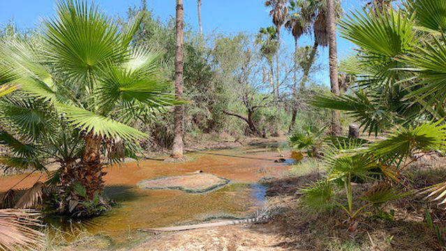 Estuary bird lookout