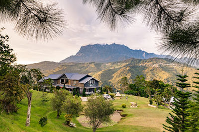 Hounon Ridge Farmstay & Camping