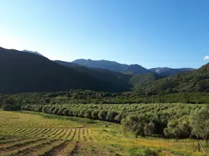 Oliu di Caldanelle - les bains de Caldanelle
