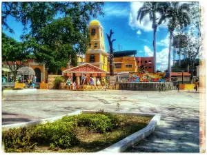 Plaza Bolivar de Palo Negro