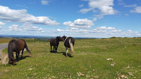 National Park Visitor Centre, Postbridge