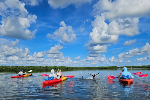 Island Kayak Adventures at Shell Key Preserve