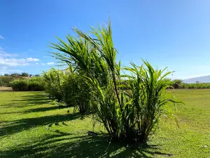 Ocean Vodka Organic Farm and Distillery