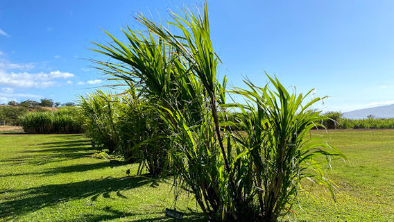 Ocean Vodka Organic Farm and Distillery