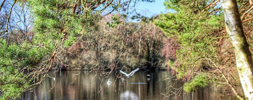 Heath Lake