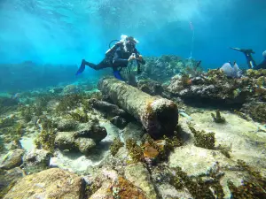 Mag Bay Diving