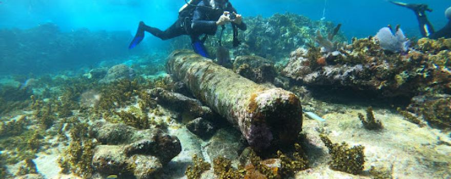 Mag Bay Diving