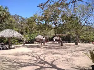 Praia do Puçá