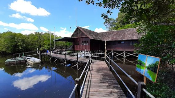 Kabili-Sepilok Forest Reserve