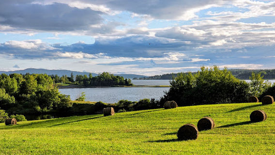 Arm of Gold Campground